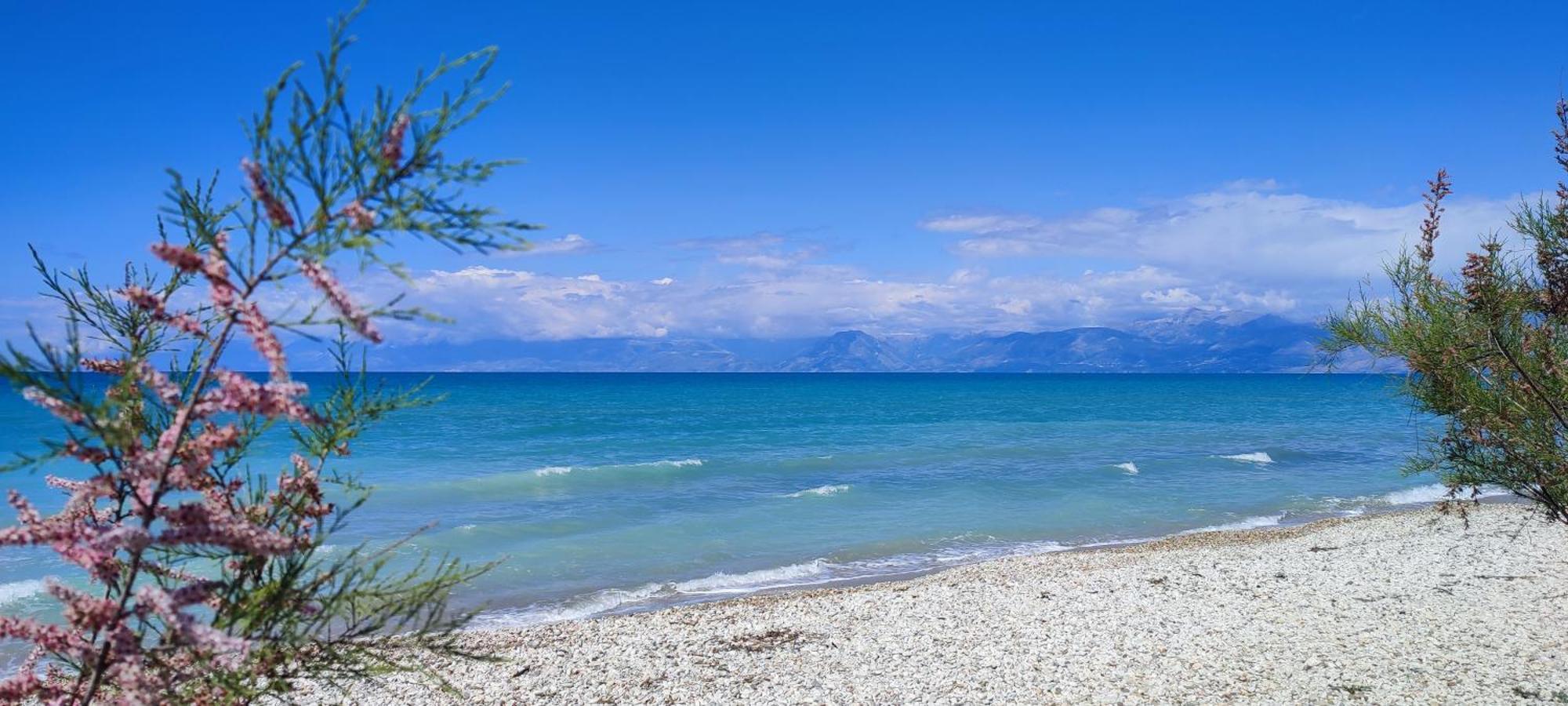 Agapi Studio Acharavi A 50M De La Mer, 400M Du Centre Ville Екстериор снимка