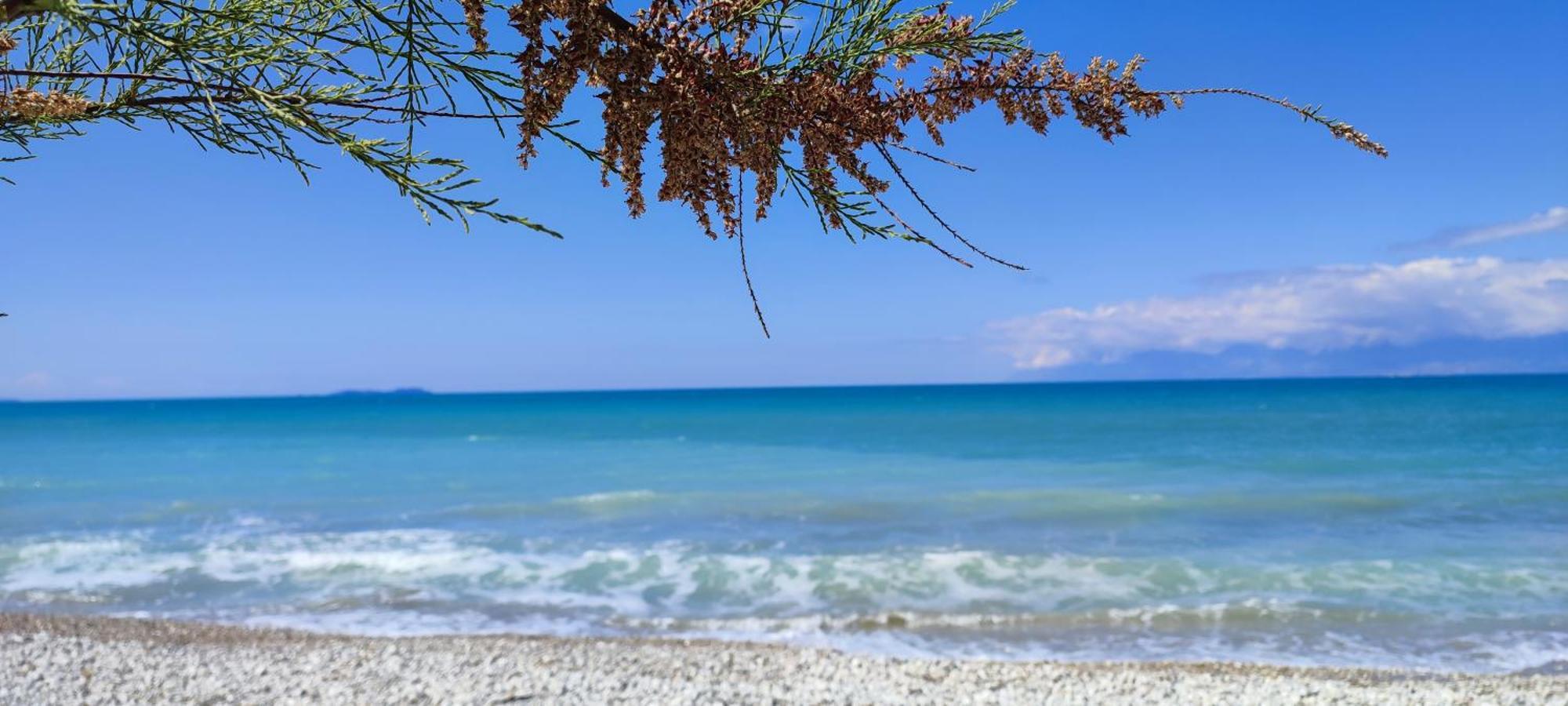 Agapi Studio Acharavi A 50M De La Mer, 400M Du Centre Ville Екстериор снимка
